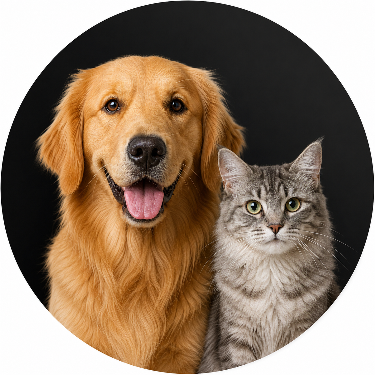 PET